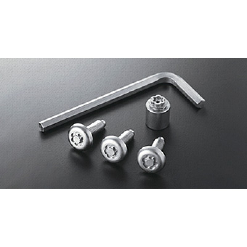 Secret bolt (for license plate frame) for Toyota DYNA XZU600D-TUMMB-K (May 2013 – ) Secret bolt (for license plate frame) for Toyota DYNA XZU600D-TUMMB-K (May 2013 – )